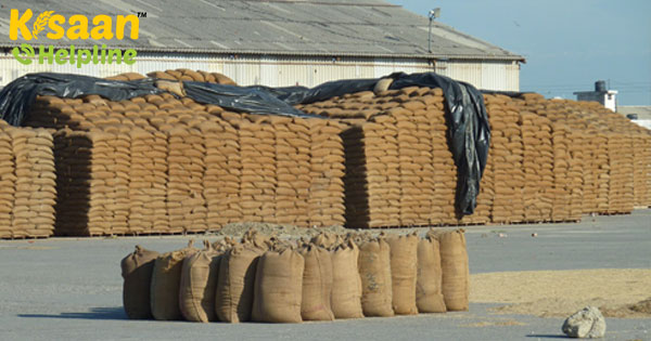 पंजाब के सीएम ने पीएम को लिखा पत्र, किसानों के गेहूं के आगमन में देरी के लिए माँगा प्रोत्साहन
