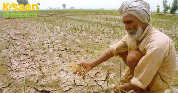 सरकार ने 2020-21 फसल वर्ष के लिए खाद्यान्न उत्पादन का लक्ष्य रिकॉर्ड 298.3 मिलियन टन निर्धारित किया