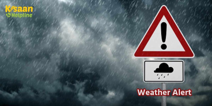 Weather Forecast: आज और कल इन राज्यों में बारिश और आंधी की सम्भावना, मौसम विभाग ने की भविष्यवाणी