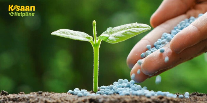 सरकार ने लिया अहम फैसला, नहीं बढ़ेंगे खाद के दाम, नहीं होगा खाद की MRP में कोई बदलाव