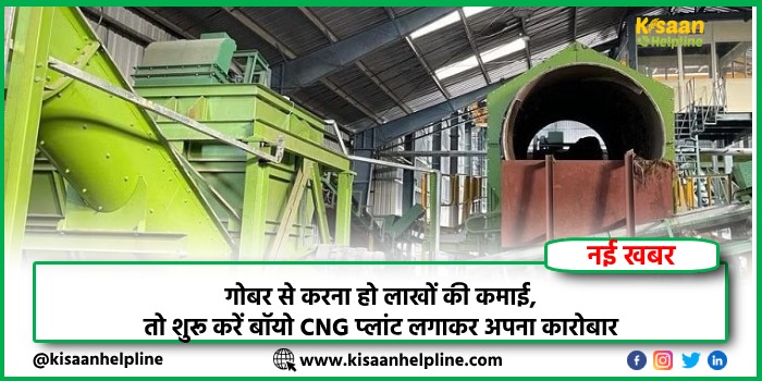 Business Idea:  गोबर से करना हो लाखों की कमाई, तो शुरू करें बॉयो CNG प्‍लांट लगाकर अपना कारोबार