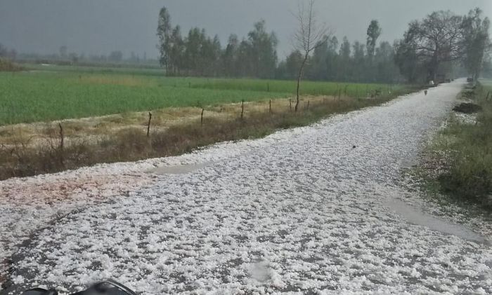 मौसम की मार, सब पर भारी , जाने कहा हुई बारिश और कहा गिरे ओले