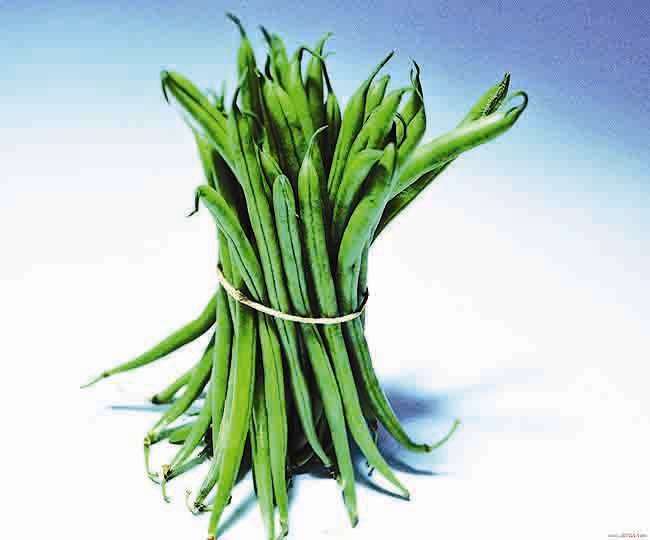 उड़ाते थे खिल्ली, कहते थे शेखचिल्ली, अब उसी से सीख रहे फलियों की खेती करने का कौशल