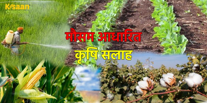 खरीफ फसलों के लिए मौसम आधारित कृषि सलाह, किसान भाईयों को रखना होगा इन बातों का विशेष ध्यान