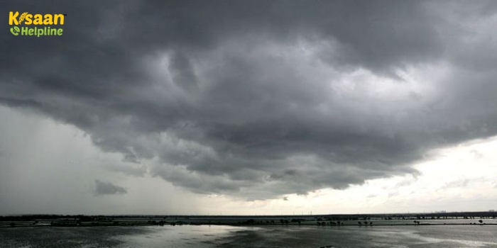 IMD Weather Alert : मौसम विभाग ने जारी की चेतावनी, रहें सावधान, इन राज्यों में बारिश का अलर्ट