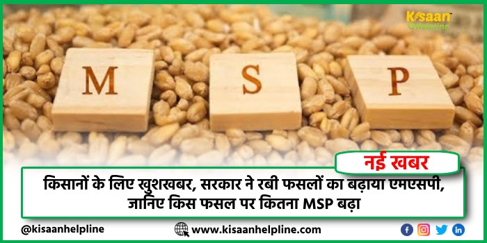 किसानों के लिए खुशखबर, सरकार ने रबी फसलों का बढ़ाया एमएसपी, जानिए किस फसल पर कितना MSP बढ़ा