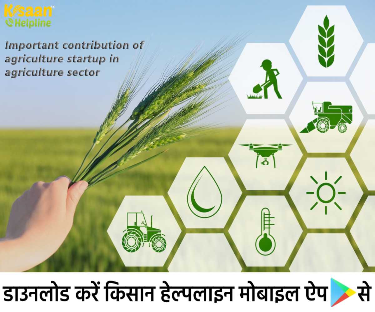 Agriculture Startup: कृषि क्षेत्र में किसानों के लाभ और समय की बचत के लिए एग्रीकल्चर स्टार्टअप का महत्वपूर्ण योगदान 