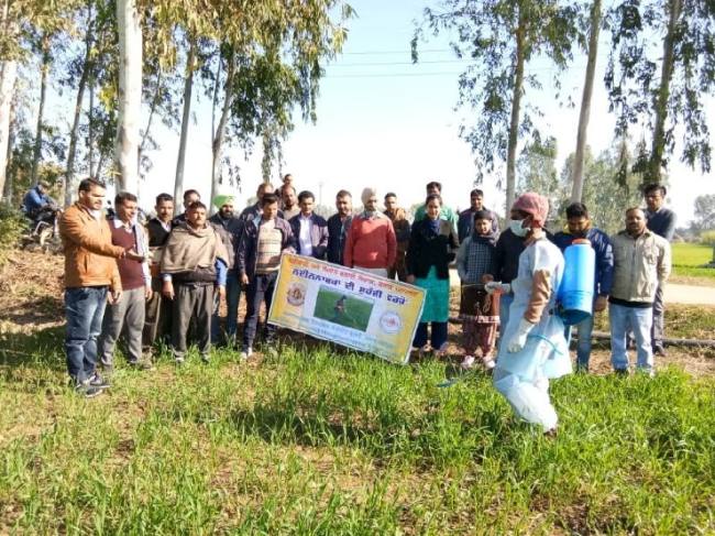 किसान कीटनाशक का प्रयोग ना करें फसलों पर