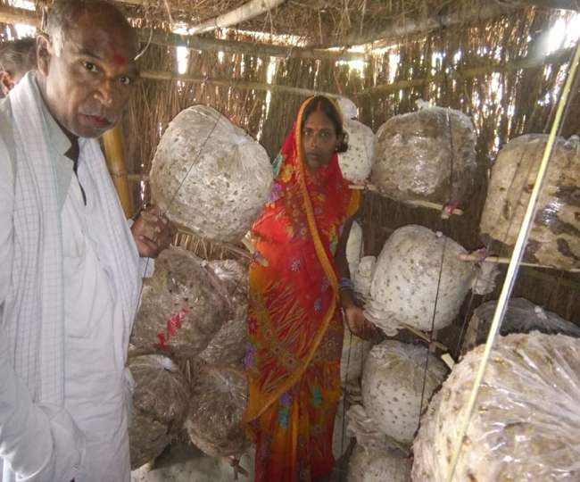 मशरूम की खेती से मिला फायदा, 150 महिलाओं की बदली तकदीर