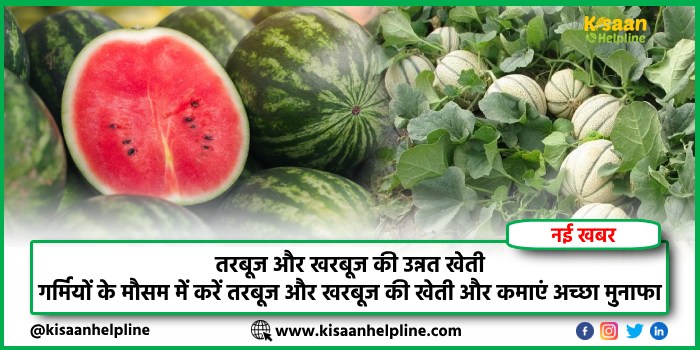 तरबूज और खरबूज की उन्नत खेती: गर्मियों के मौसम में करें तरबूज और खरबूज की खेती और कमाएं अच्छा मुनाफा