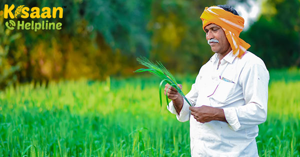 किसानों के लिए राहत: MHA का कहना है कि 20 अप्रैल, 2020 से कृषि गतिविधियों पर अनुमति दी गयी है