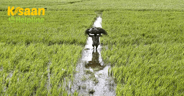 कृषि उत्पादों की मांग-आपूर्ति पर सरकार की कड़ी निगरानी