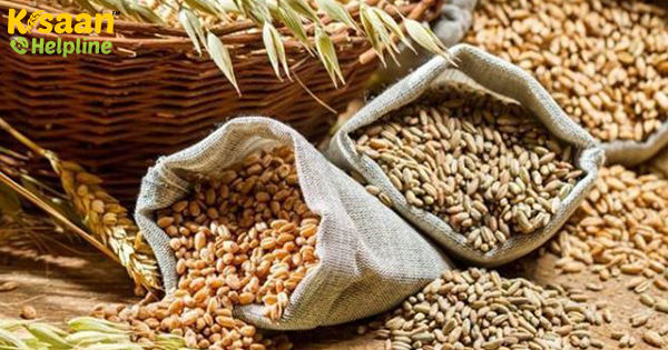 सरकार रिकॉर्ड खाद्यान्न उत्पादन लक्ष्य निर्धारित करती है