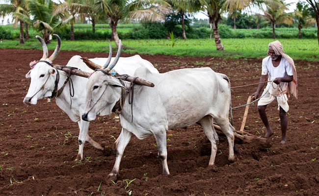 जरुरी खबर ! अगर कृषि आय पांच लाख है, तो किसानो को देना होगा ब्यौरा