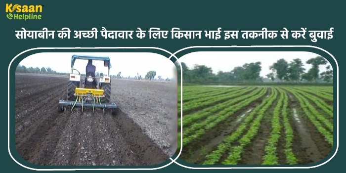 सोयाबीन की अच्छी पैदावार के लिए किसान भाई इस तकनीक से करें बुवाई