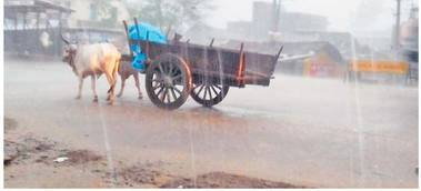 24 घंटे में नहीं हुई तेज बारिश तो बदलेगी जलप्रदाय व्यवस्था