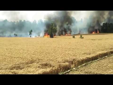 कृषि तकनीक एवं प्रौद्योगिकी, अहम् जानकारी जाने नुकसान और फायदे