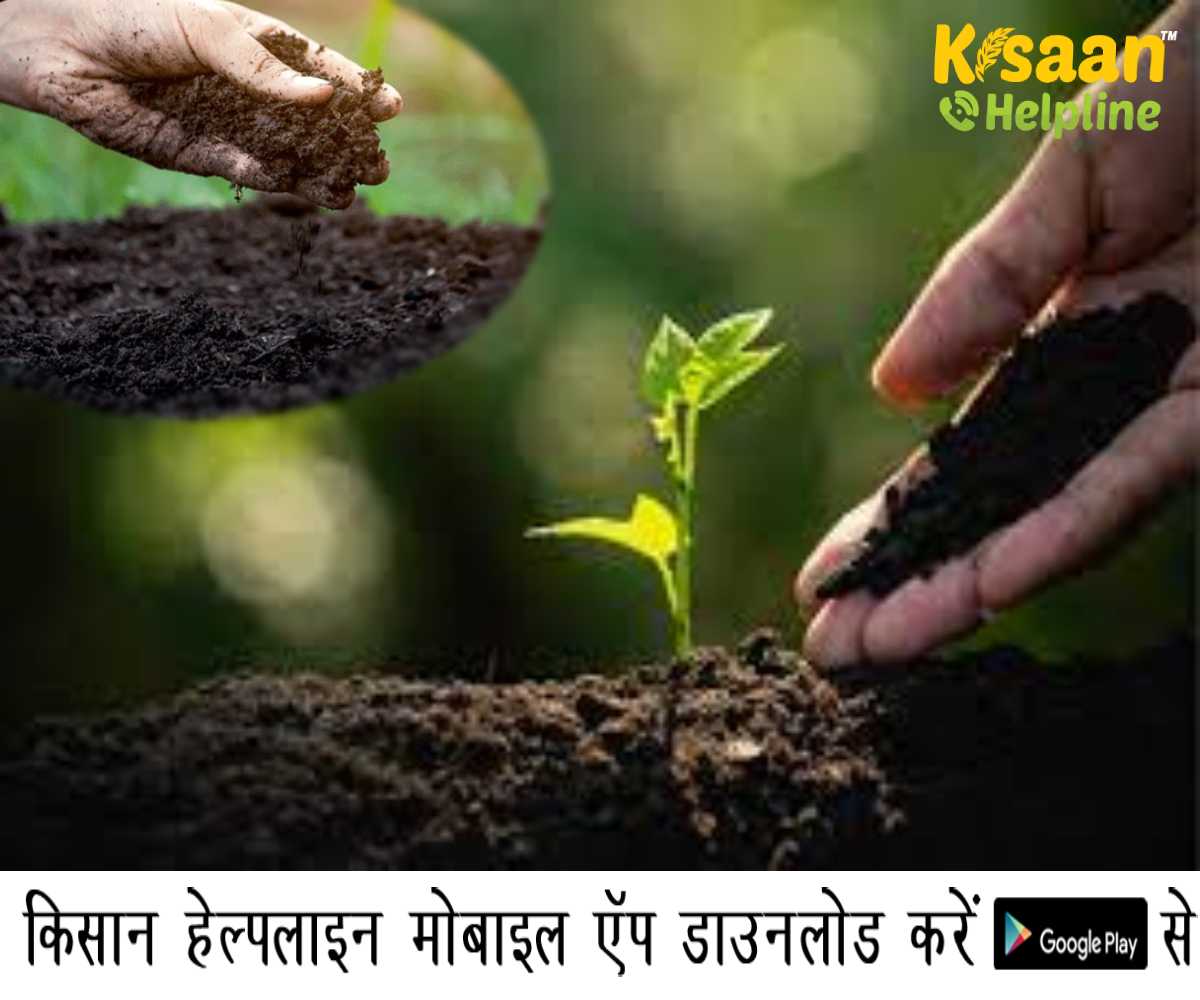 कृषि समाचार: मध्य प्रदेश जवाहरलाल कृषि विश्वविद्यालय के वैज्ञानिकों ने बंपर उत्पादन के लिए 15 प्रकार की जैविक खाद विकसित की