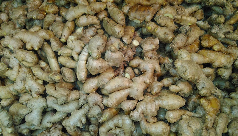 'एसिड अदरक' दे रहा है, दोगुना आमदनी