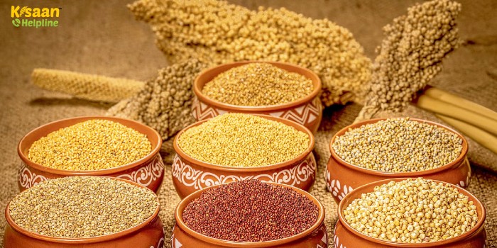 मोटे अनाज को बढ़ावा देने के लिए कृषि मंत्रालय ने नाफेड को शामिल किया