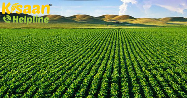 फसल बीमा योजना को फिर से कास्ट करने पर सरकार 4000 करोड़ रुपये अधिक खर्च करेगी