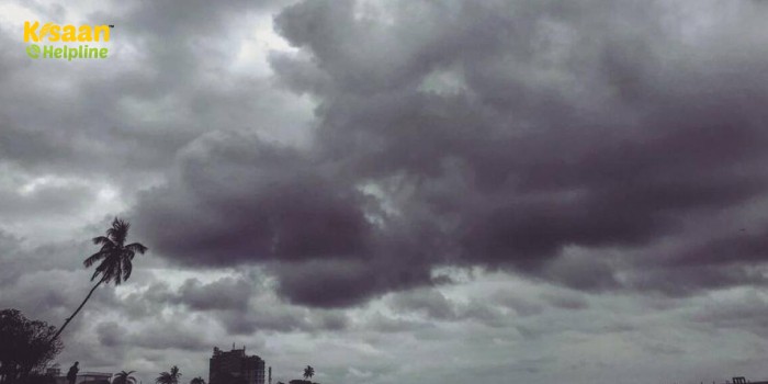 भारत मौसम विज्ञान विभाग ने जारी की मौसम को लेकर बड़ी अपडेट, जानें कहाँ-कहाँ बारिश की संभावनाएं