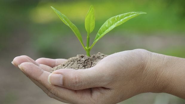 कैसे शुरू करें जैविक खेती का व्यवसाय, आइये इसकी प्रक्रिया को जानते है!