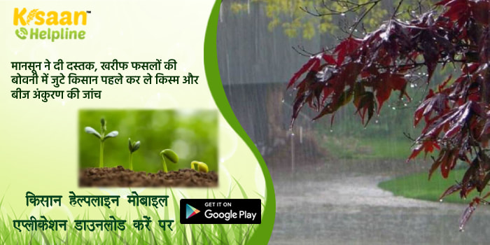 मानसून ने दी दस्तक, खरीफ फसलों की बोवनी में जुटे किसान पहले कर लें किस्म और बीज अंकुरण की जांच