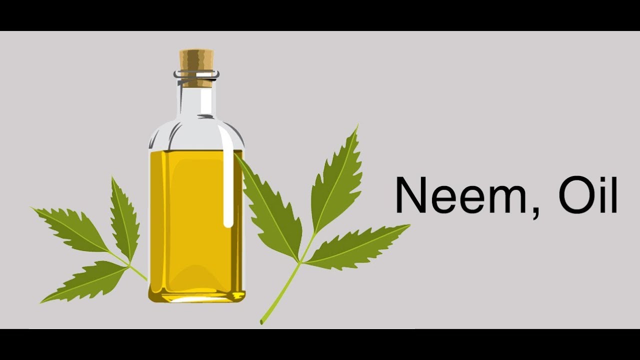 नीम तेल के फसल में फ़ायदे