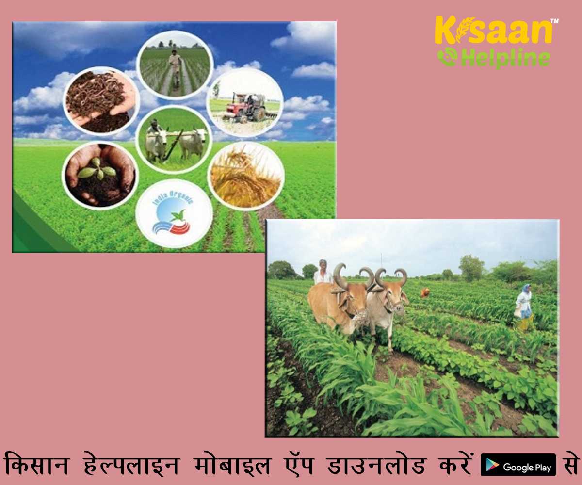 सरकार जैविक किसानों को वैश्विक स्तर पर वैध प्रमाणीकरण जारी करने की योजना बना रही है: अमित शाह