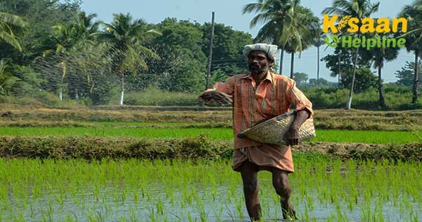 कृषि को लाभ का व्यवसाय बनाने के लिए विशेष बिन्दु, जानिए इनके बारे में