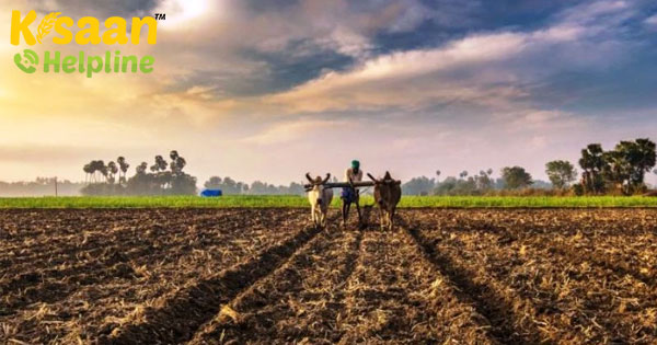 COVID-19 के कारण लघु और दीर्घकालिक कृषि पर प्रभाव