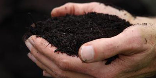 वर्मीकम्पोस्ट में केंचुए की अहम् भूमिका, क्यों सहायक है खेती में - दूसरा चरण