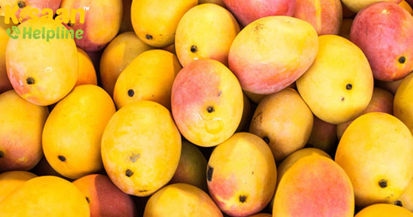 सुपर साइक्लोन एम्फान की वजह से बंगाल में आम व्यापार बुरी तरह से प्रभावित