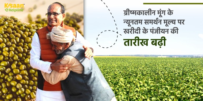मध्यप्रदेश में MSP पर मूंग खरीदी पंजीयन की तारीख बढ़ी, अब 31 मई तक करा सकेंगे पंजीयन