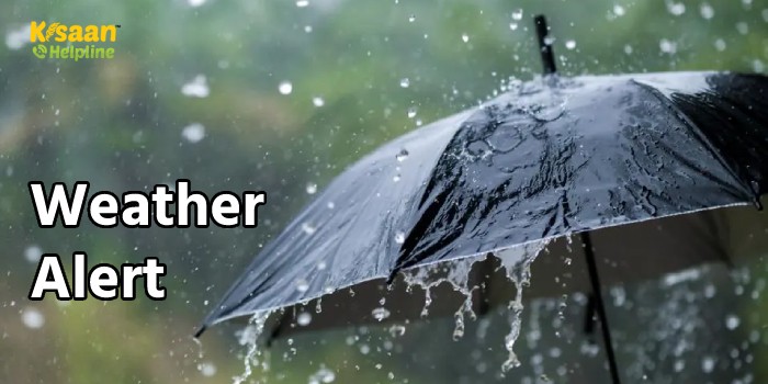 मौसम विभाग ने इन राज्यों में कही भीषण लू तो कहीं भारी बारिश का अलर्ट जारी किया, जानिए इस सप्ताह कैसा रहेगा मौसम