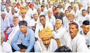 कटे अफीम पट्‌टों को बहाल करें