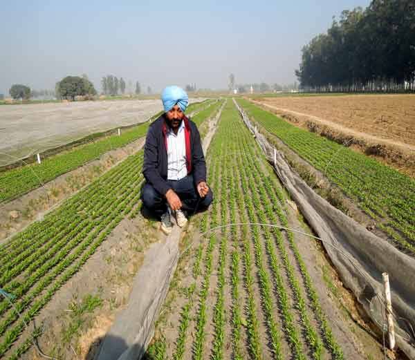 मास्टर डिग्रीधारी किसान का कमाल, खेती से कमा रहा 3 करोड़ रुपए सालाना
