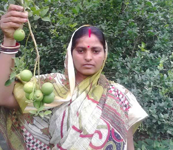 नींबू बेचकर लाखों कमाते हैं ये किसान, पहाड़ खोदकर करते हैं खेती