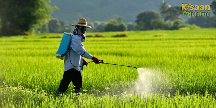 कृषि रसायनों के प्रयोग में बरती गई थोड़ी सी भी असावधानी दे सकती है बड़े नुकसान को आमंत्रण 