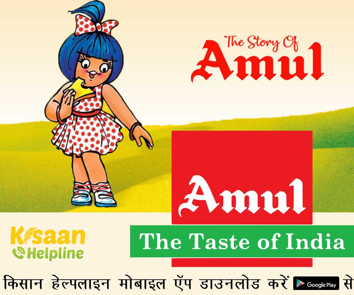 Success Story Of Amul: अमूल - भारत की दुग्ध सहकारी सफलता की कहानी