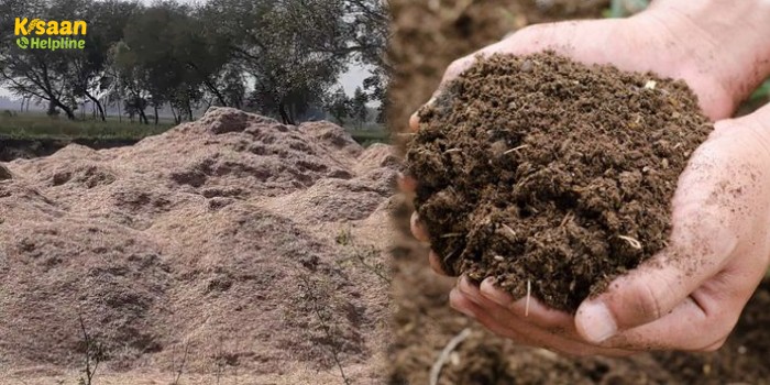 जानिए सरसों के भूसे से कार्बनिक खाद बनाने का सरल तरीका