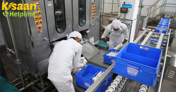 विदर्भ, मराठवाड़ा क्षेत्र में मदर डेयरी 2.55 लाख लीटर प्रतिदिन की खरीद करती है