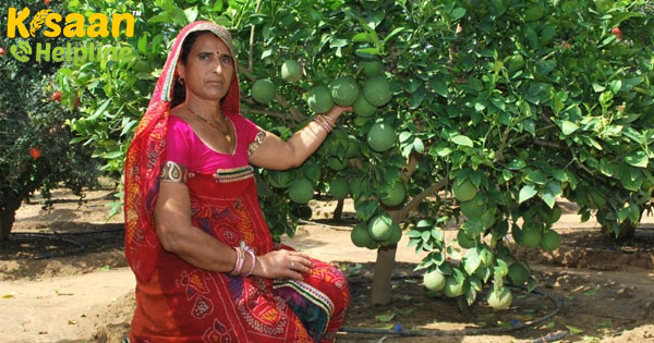 अनार और सेब उगाकर महिला किसान संतोष खेदड़ कमाती हैं लाखों रूपये, एफटीबी में जानिए इनकी सफलता की कहानी