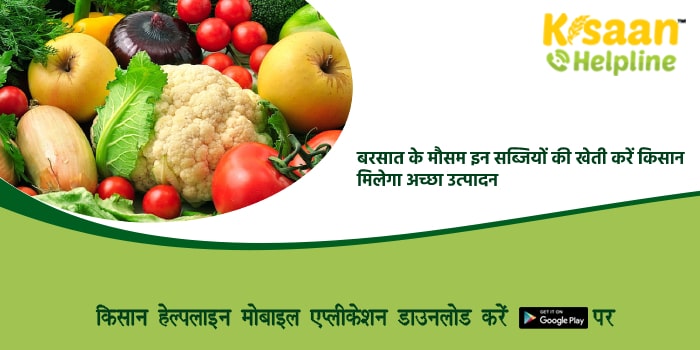 बरसात के मौसम इन सब्जियों की खेती करें किसान, मिलेगा अच्छा उत्पादन