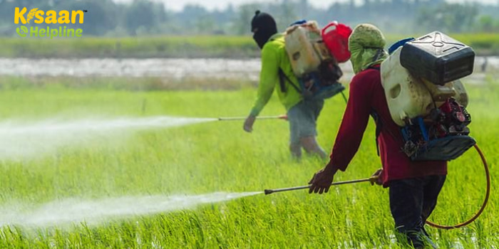 किसान भाई कीटनाशक का प्रयोग करते समय रखे प्रमुख सावधानियां 