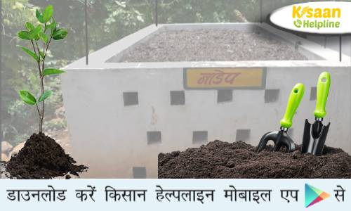 जैविक खाद तैयार करें नादेप विधि से, कम गोबर की मात्रा से अधिक जैविक खाद, जानिए इस विधि के बारे में