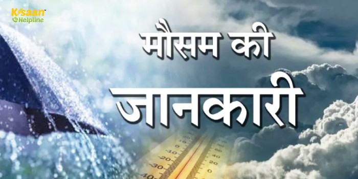 Weather Update: IMD ने इन राज्यों में बारिश को लेकर फिर जारी किया अलर्ट, जानिए मौसम का हाल