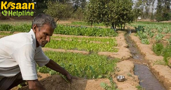 PM-KISAN: केंद्र ने असम, मेघालय, जम्मू-कश्मीर, लद्दाख को आधार सीडिंग से 1 साल की और छूट दी