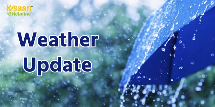 IMD Weather Update: मौसम विभाग की भविष्यवाणी, कई राज्यों में भारी बारिश की चेतावनी, जानें आज कैसा रहेगा मौसम का हाल